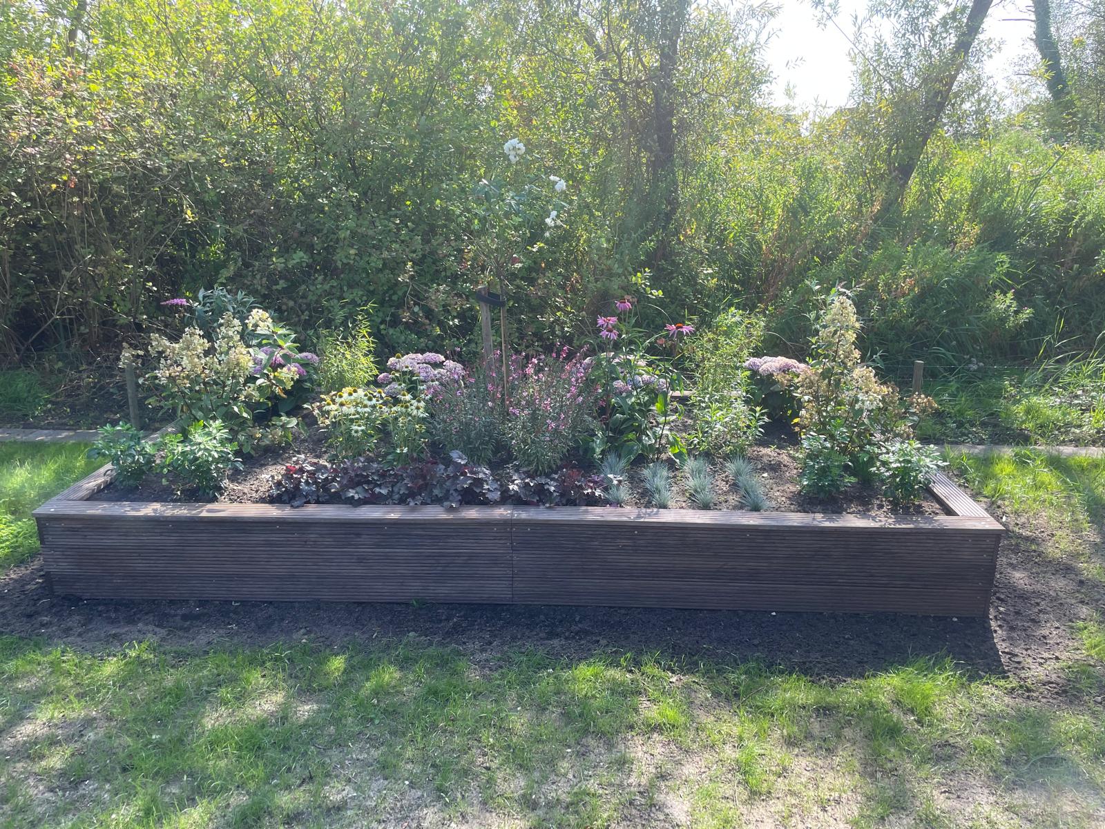 Houten plantenbak met vaste planten en siergrassen aangelegd door hovenier in Roelofarendsveen