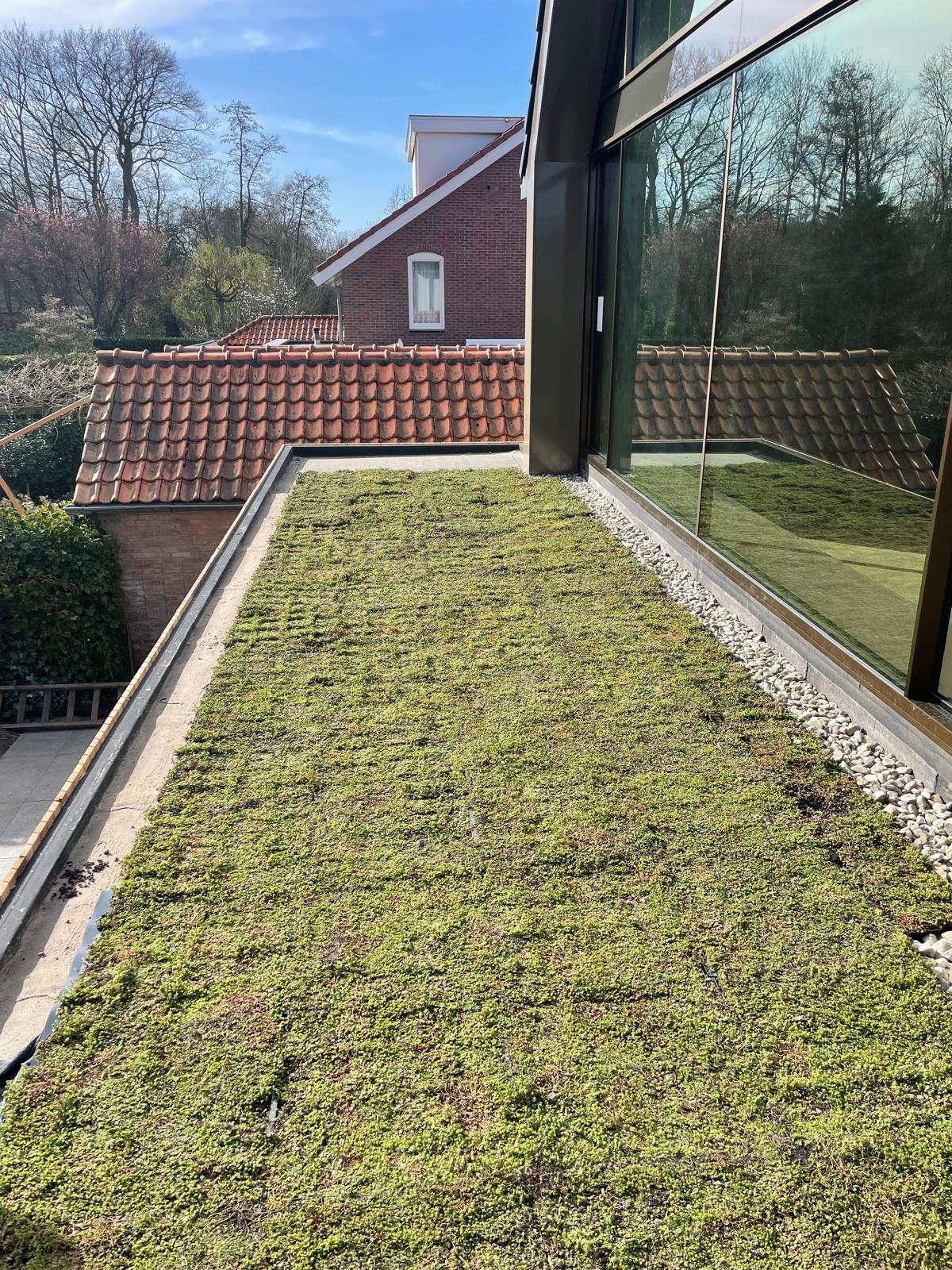 Sedum groendak aangelegd door hovenier KaVuRU in Zuid-Holland